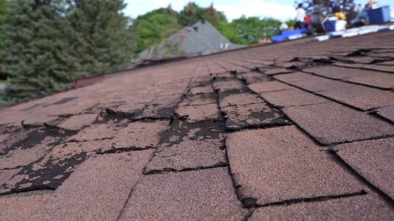 Best Green or Eco-Friendly Roofing Solutions  in Dry Ridge, OH