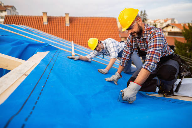 Best Roof Insulation Installation  in Dry Ridge, OH
