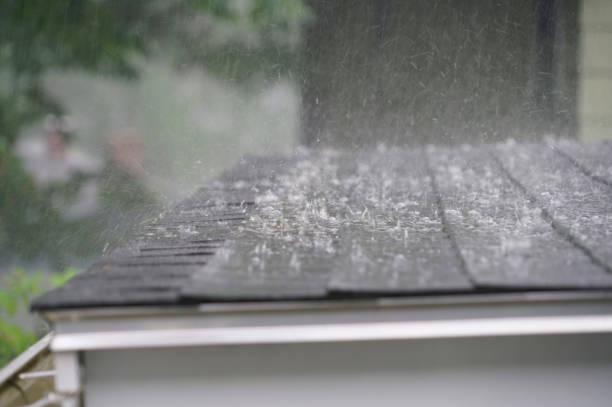 Best Rubber Roofing (EPDM, TPO)  in Dry Ridge, OH