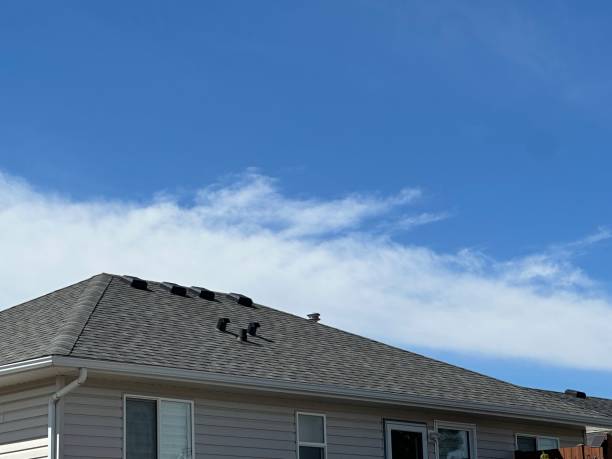 Best Storm Damage Roof Repair  in Dry Ridge, OH